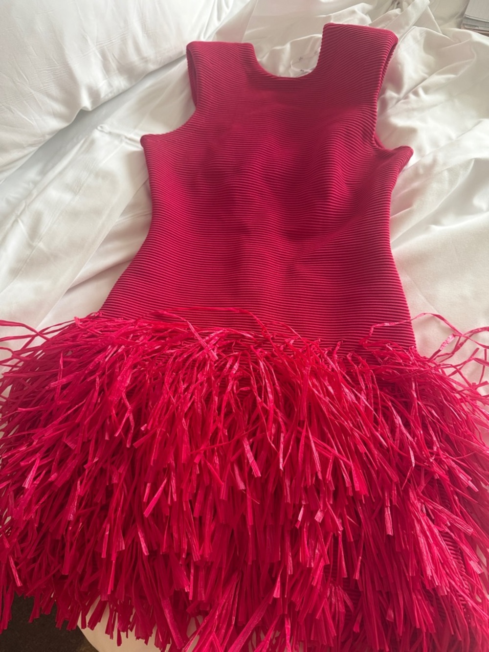 Aje  fringe rafia Dress